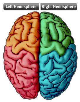 التقسيمات الرمزية للدماغ واأللوان المستعملة في نموذج بريزم نموذج بريزم الرباعي والثماني يتضمن مقياس