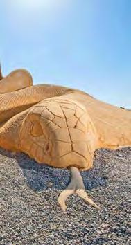 إنه متحف الرمال األول يف مصر والشرق األوسط وأفريقيا والذي شارك يف حنته 42 فنان من 17 دولة خمتلفة وقد استغرق إنشاءه ما يقرب من سبع أشهر.
