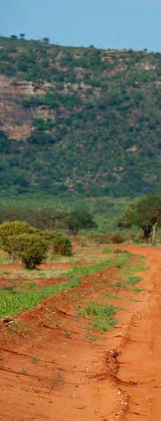 Discover The World With Memphis Tsavo National Park The park was established on April 1, 1948, with an area of 21812 square kilometers, making