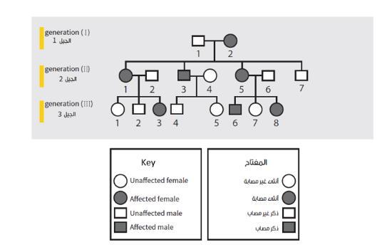 13. The pedigree below represents the inheritance of a human disease over three generations.