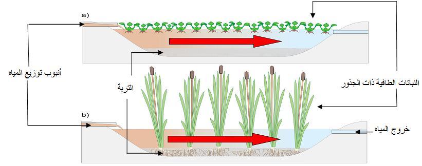 الفصل الثاني معالجة مياه الصرف الصحي باستعمال النباتات المائية 0 أحواض النباتات ذات الجريان السطحي الحر هي األحواض التي تكون فيها النباتات ذات السيقان المغروسة في الطبقة العلوية لمواد التعبئة و يكون
