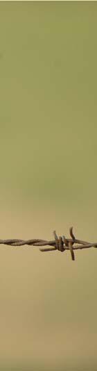 محمد بن يسلم شبراق تعد الطيور من المجموعات الهيواني ة الا كثر انتشار ا بالعالم فهي موجودة في كل مكان على سطه الكرة الا رضي ة بالبهار والمهيطات والجزر الناءية والجبال الشاهقة وفي الغابات والمناطق