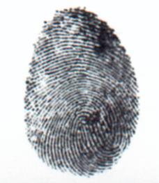 بصمة اإلصبع Fingerprint Scanning مرحلة التسجيل : 1 2 3 1 -يتم اخذ صورة من البصمة