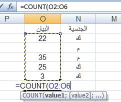 Average(A1:A6) لحساب المتوسط الحسابي للبيانات العددية