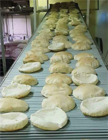 8- Cooling Conveyors The Cooling Conveyors are designed to cool down and transport the baked loaves coming out from baking oven to packaging table.