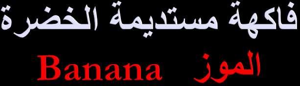 أ.د/ جالل
