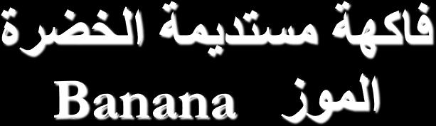 عليوة