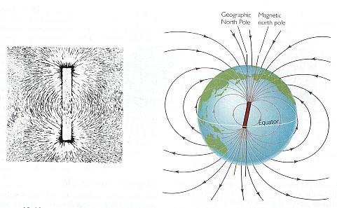 Earth s magnetic field surrounds the Earth has north and south magnetic poles is detected by compasses is recorded in rocks and minerals as they cool is generated in the Earth s liquid