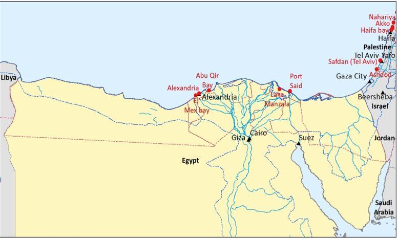 I. المقدمة انضمت مصر الى هذه الدراسة في أواخر العام 2105 حيث بدأ العمل الفعلي في كانون الثاني/يناير 2105 بعد ورشة العمل التي أطلقت هذه العملية في 02 كانون الثاني/يناير 2105.