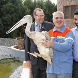 In recent times, the Oasis received more additions to its existing wildlife turtles and frogs, and birds