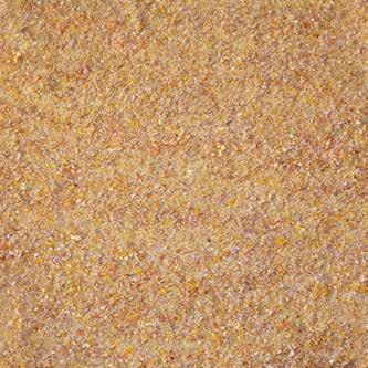 Agrivita, your trusted animal feed from Grand Mills, Abu Dhabi since 1981, offers a wide range of superior quality specialized feed solutions that provide the right nutrition for every age and