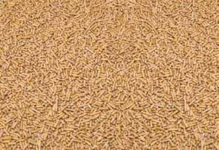 Dairy Range أعلاف الا بقار علف عجول بادئ Calf Starter علف الا بقار الصغيره (العجلات) Heifer Builder علف الا بقار قريبي الولادة Close-Up Foundation علف الا بقار