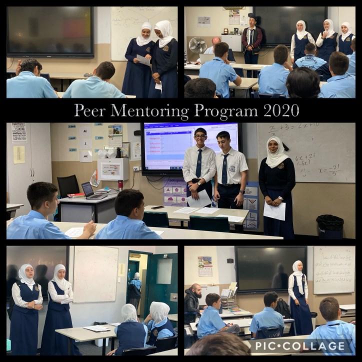 Peer Mentoring Programme Senior students in Year Eleven and Twelve commenced the Personal Learning Goals Peer Mentoring
