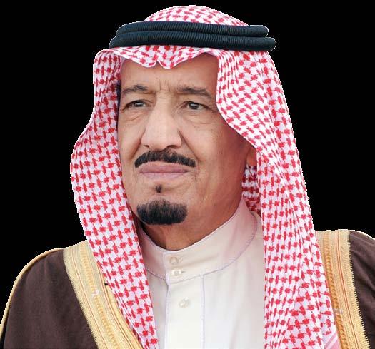 خادم الحرمين