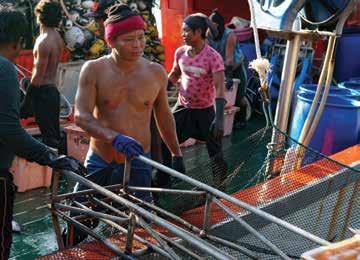 صيادو السمك 33 أول نقابة تعطي األمل للصيادين التايانديني يشيد جوني هانسن رئيس قسم مصائد األسماك في الITF بإطاق أول نقابة متث ل الصيادين في تاياند الذين يعانون من أبشع اإلساءات في الصناعة العاملية.