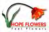 HOPE FLOWERS 30 خصم