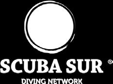 SCUBA SUR DIVING NETWORK (Gran Canaria island,fuerteventura island, Grand Bahamas) 15% Discount Diving package Diving courses Snorkel trips * Please mention that you are CIB Wealth customer when
