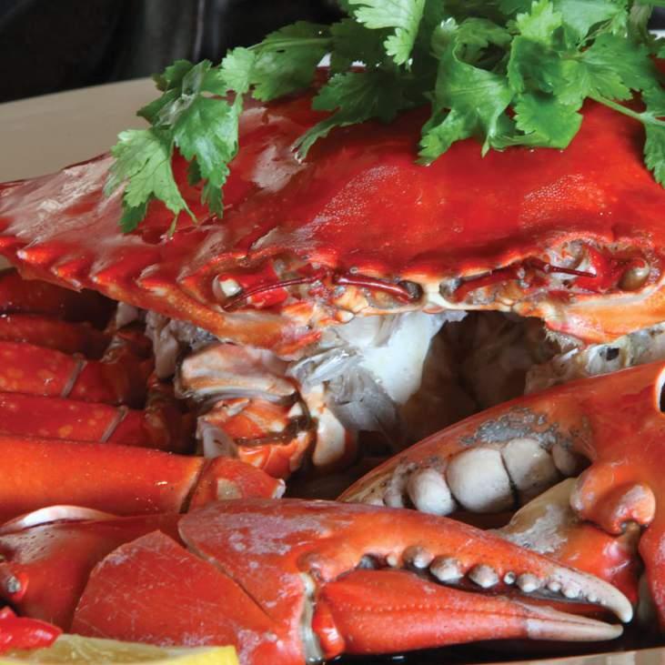 ) live hard shell lobster, red chili, onion & garlic لوبستر مطهو على البخار في صلصة الصويا )700 غرام( بصل أخضر زنجبيل ولوبستر طازج 9 Steamed Lobster in Soya Sauce (700gr.
