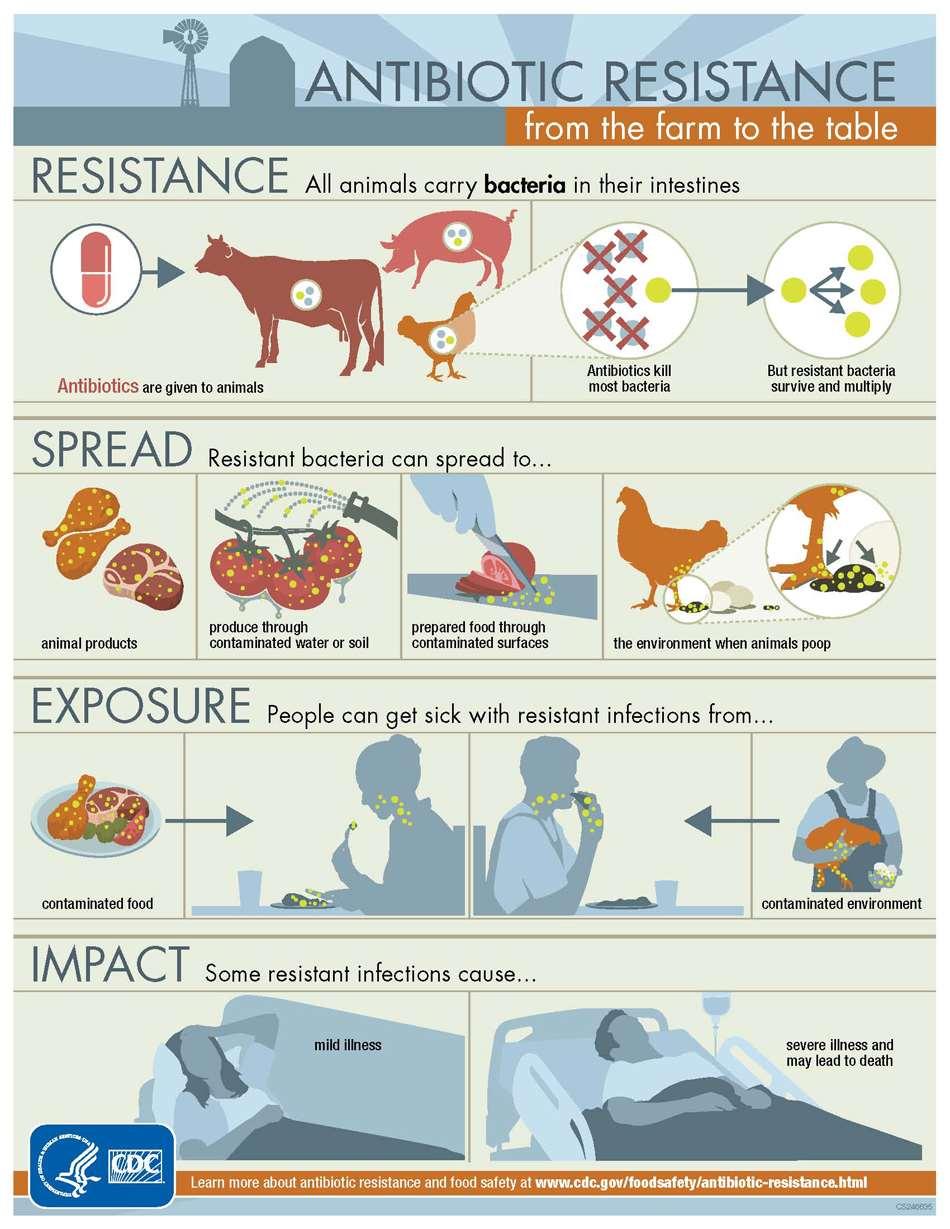 تجدر الا شارة إلى أنه من الا من استهلاك اللحوم من الحيوانات التي تتغذى بالمضادات الحيوية والتي تربى في مزارع جيدة.