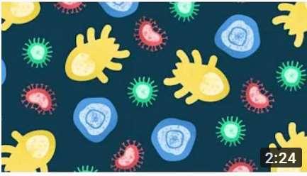 العديد من الا مراض الشائعة لدى البشر مثل نزلات البرد والانفلونزا تسببها الفيروسات ولا تتطلب المضادات الحيوية.
