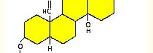 Alkaloids القلويدات من القواعد يروجيي النيتروجينية المعقدة التركيب وذات تعرف القلويدات