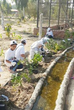 The school planting event took place in Al Areen on Saturday 3-12- 2016.