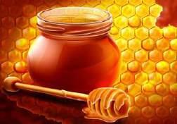 عسل النحل Bee's honey