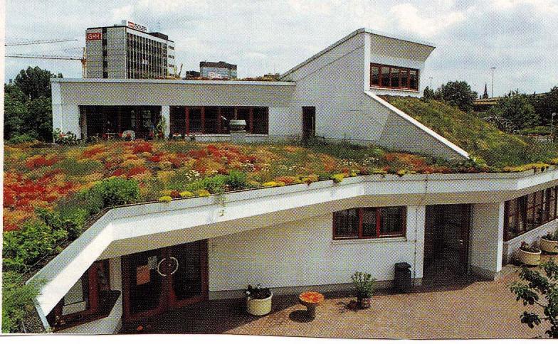 Solarium أوالسقف المضاعف أوالسقف األخضر أوالعرائش على األسطح والسقف الجملون الخف ف.