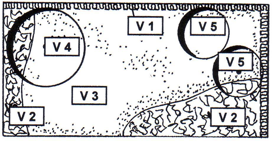تصم م فراغ داخل مناسب لألح اء الحجوم الجزئ ة )V1.Vn( والحجم اإلجمال لمساحة محددة) V1+.