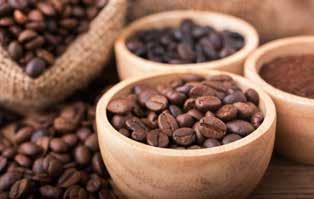 vanilla Ethiopia (Sidamo) Raisin nut chocolate and spiced peach Indonesia Herbal medium body coffee Coffee Grounds 82 82 34 علم القهوة قهوة بماكينة شيمكس )4 فناجين( قهوة بماكينة من وعاءين )3 فناجين(