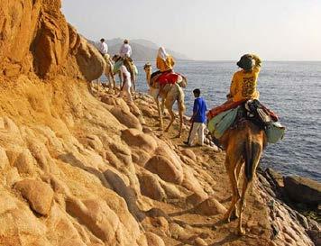 It is possible to meet with Arab camel riders and more than a tour guide at the waterfront of the city of Dahab, and you would then only be directed to them and ask them whether they could accompany