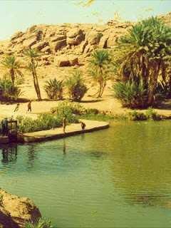 بعدما جفت العيون ويبست مي ات ا شجار النخيل التي تزين هذه الواحة المتهاوية في ا عقاب تا ثر المخزون الباطني من المياه الجوفية وجفاف الا بار التقليدية التي كان يتزود بها ا