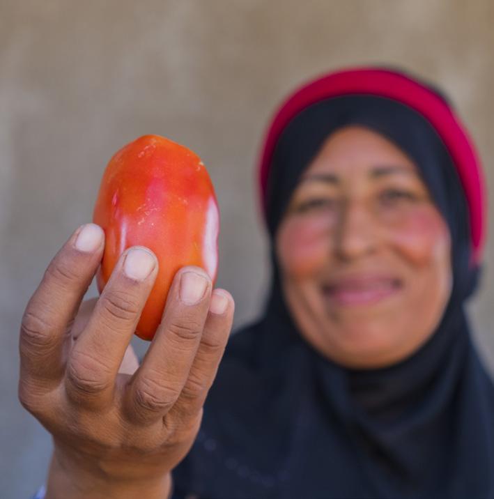 tomatoes, which starts with the right type of tomatoes.