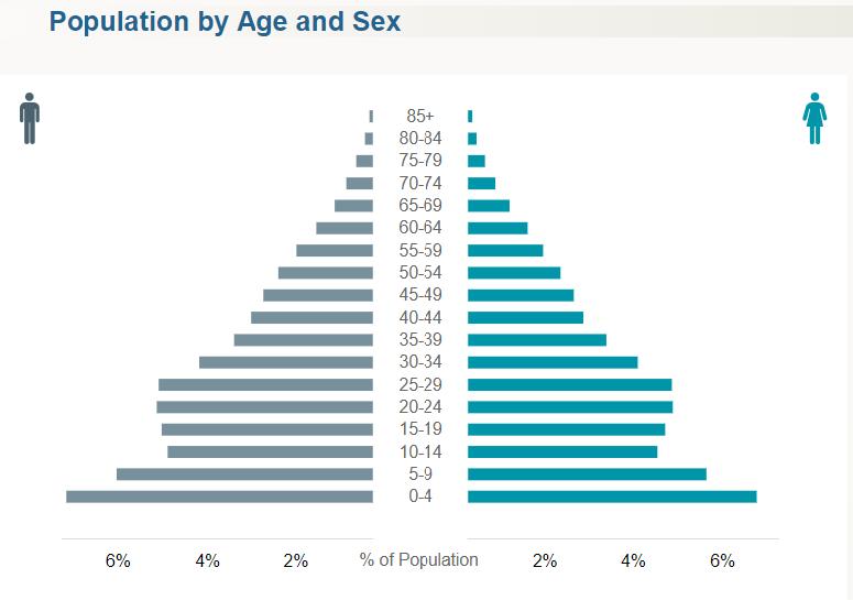 Figura 1. Percentuale di popolazione in Egitto suddivisa per età e sesso Fonte: US Census Bureau (2017) 3.
