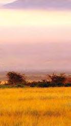 The park is located on 392 square kilometers and is home to the Maasai, one of the country s most attractive tourist
