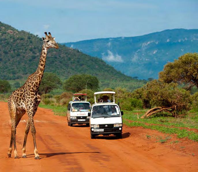 حديقة تسافو الوطنية أنشئت احلديقة فى األول من أبريل عام 1948 تقع على مساحة 21812 كيلومرت مربع مما جيعلها من أكرب احلدائق الوطنية فى كينيا كلها.