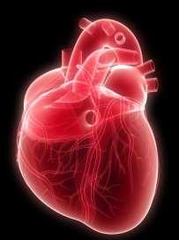 مقدمة من TryEngineering www.tryengineering.rg م ح و ر الدر س يركز هذا الدرس على هندسة وتشغيل صمامات القلب االصطناعي والتفاعل بين اإلنسان واآللة.