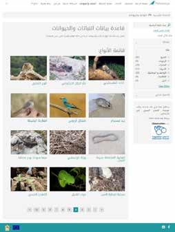 ps التـي تجمـع لـك جميـع األنواع يف مـكان واحـد إذ ميكنـك البحث عبر أي تصنيف تريد فمثلا أنـت تبحـث عـن أنـواع الطيـور فتختـار مـن القوائـم على اليمني مملكـة الحيوانـات ومن ثم الطيـور مـن األقسـام