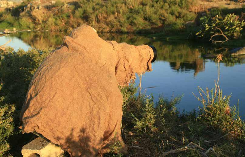 .1 طبيعتنا الجميلة.