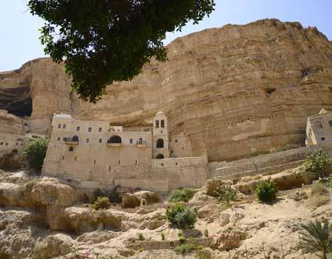 محمية وادي القلط.