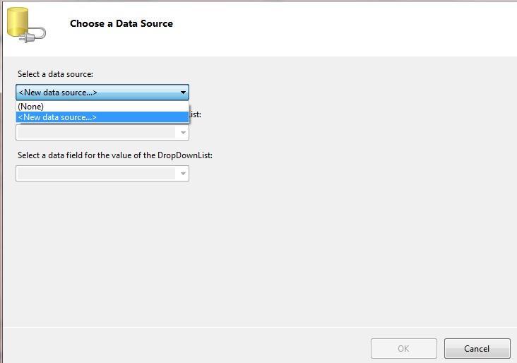 Database أختر New Data Source ستظهر لك صفحة