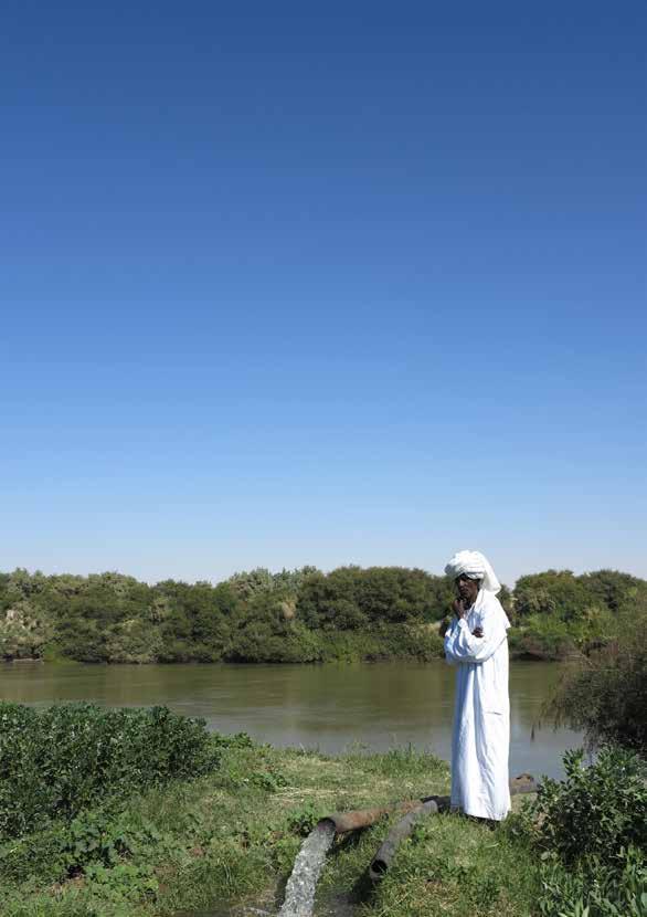 الزراعة واملحاصيل والطعام يف