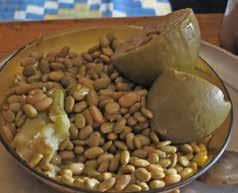 أنواع اللوبيا النوبية - كرشينقى-