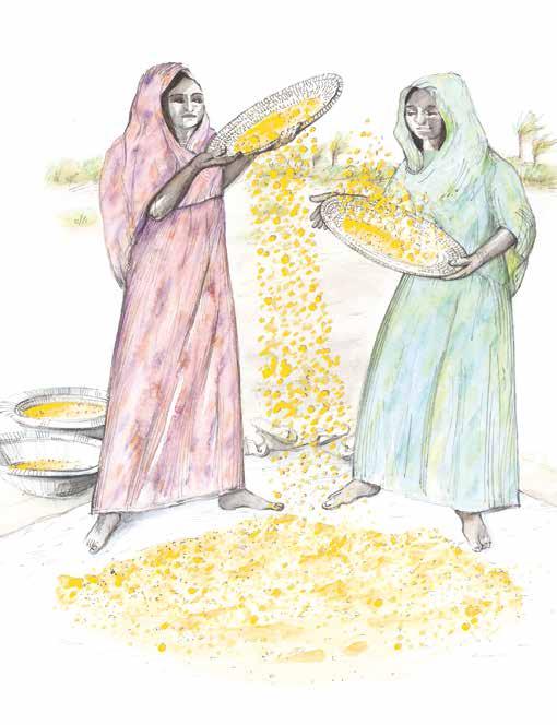 وبعد ملء القسيبة كانت تغطي بالطني وتغلق به وكانت ترتك فتحة صغرية ىف االسفل إلخراج الحبوب وكان يعاد إغالقها بالطني