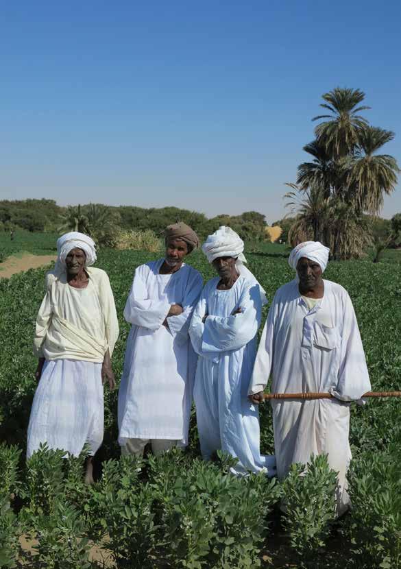 يفيض النيل يف الفرتة بني أواخر يوليو ونهاية أغسطس أو بدايات سبتمرب. وقد توقف الفيضان منذ بناء سد م روي يف عام 2009 لكن مستوى املياه يظل أكرث ارتفاعا يف تلك األشهر وتغمراملياه أجزاء من ضفاف النهر.