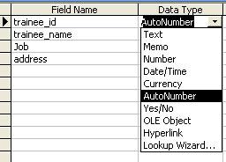 نافذة آما بالشكل لنقوم با دخال اسم الحقل Data Type و نوع البيانات Field Name الخاصة بذلك الحقل نقوم با