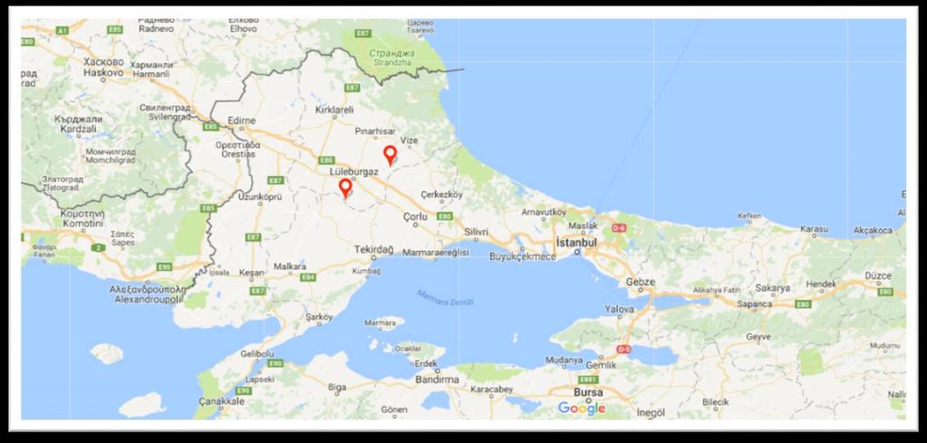 موقع المشروع : ي قام هذا المشروع في تركيا اسطنبول مدينة تكير داغ, هذا الموقع المتميز يتصف بكافة الميزات المسببة لنجاح المشروع, من ناحية القرب من األسواق االستهالكية في الشرق األوسط وأوروبا وقربه من