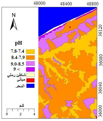 المكي والظاةري 3 شككككل 8. توزيتتتتع وحتتتدات درجتتتتة الت اعتتتتل )ph( داخل القطاع ةي منطقة الد ارسة.