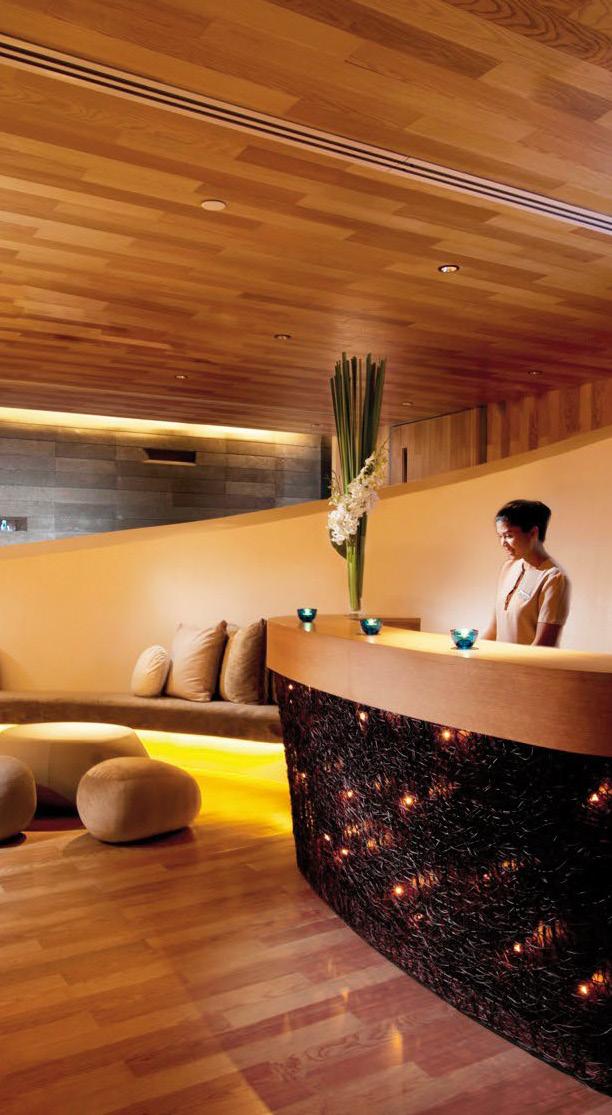 Inviion is your perfect partner when the SPA interior and general layout is already dened but some innovative treatment, relaxation and experience solutions are looked for to upgrade the facility