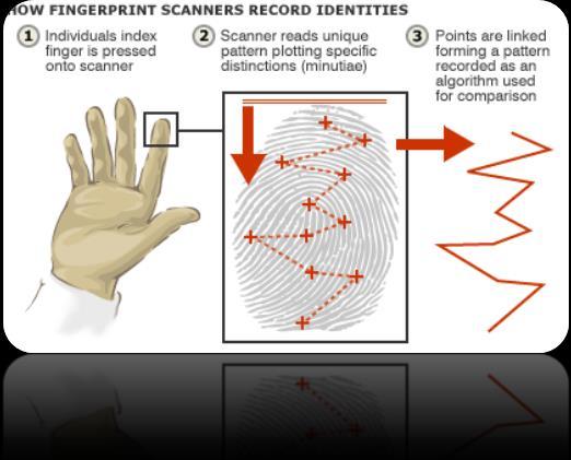 بصمة اإلصبع Fingerprint Scanning أكثر